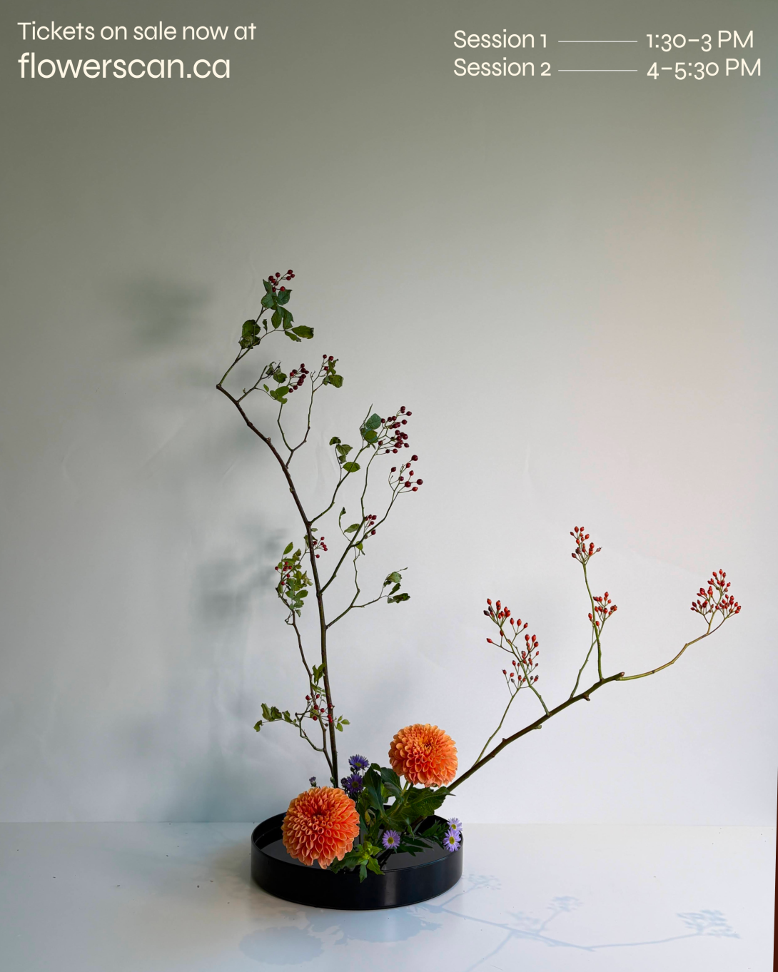 Ray, artist and founder of Flowerscan