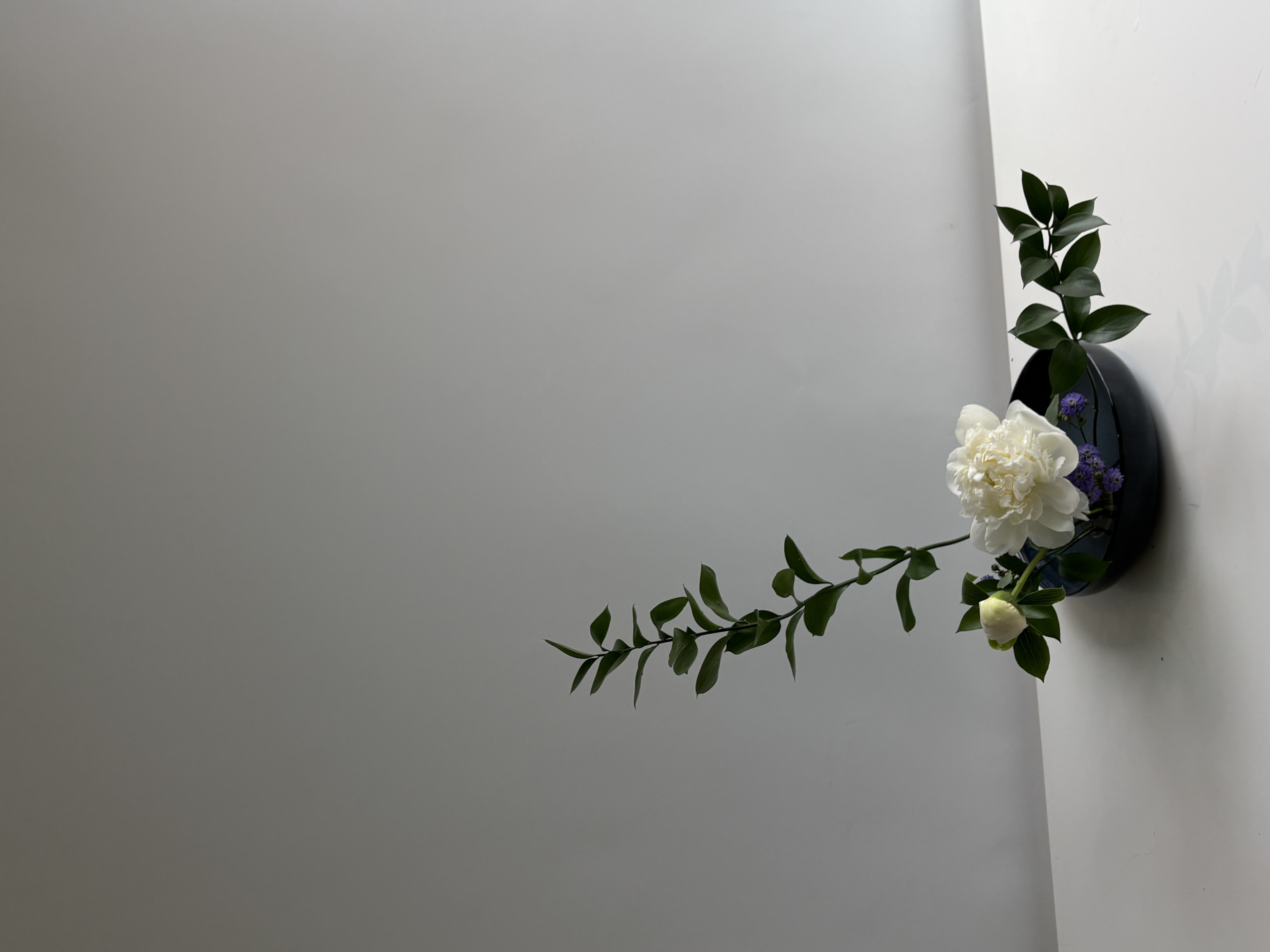 Moribana arrangement