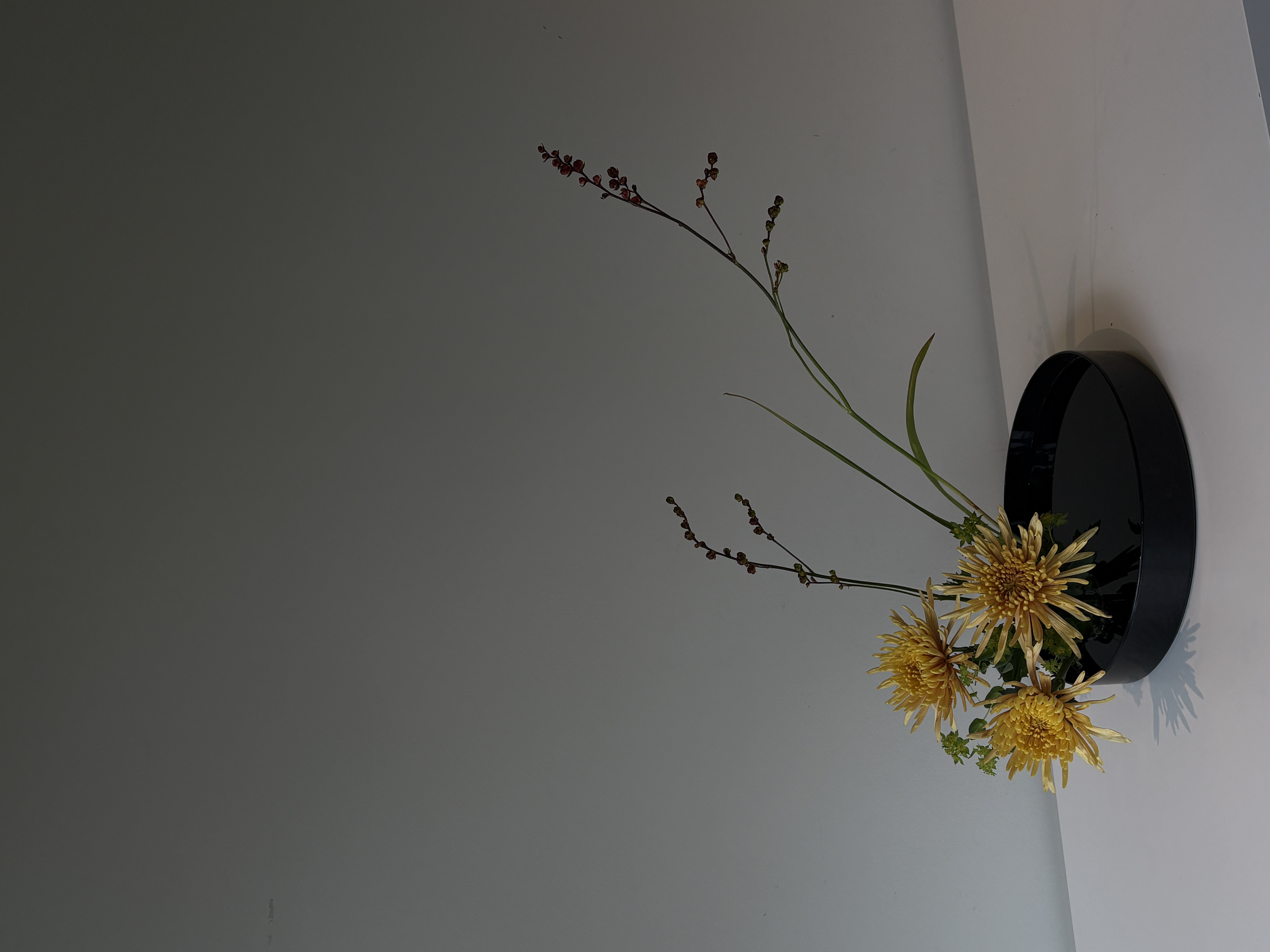 Moribana arrangement