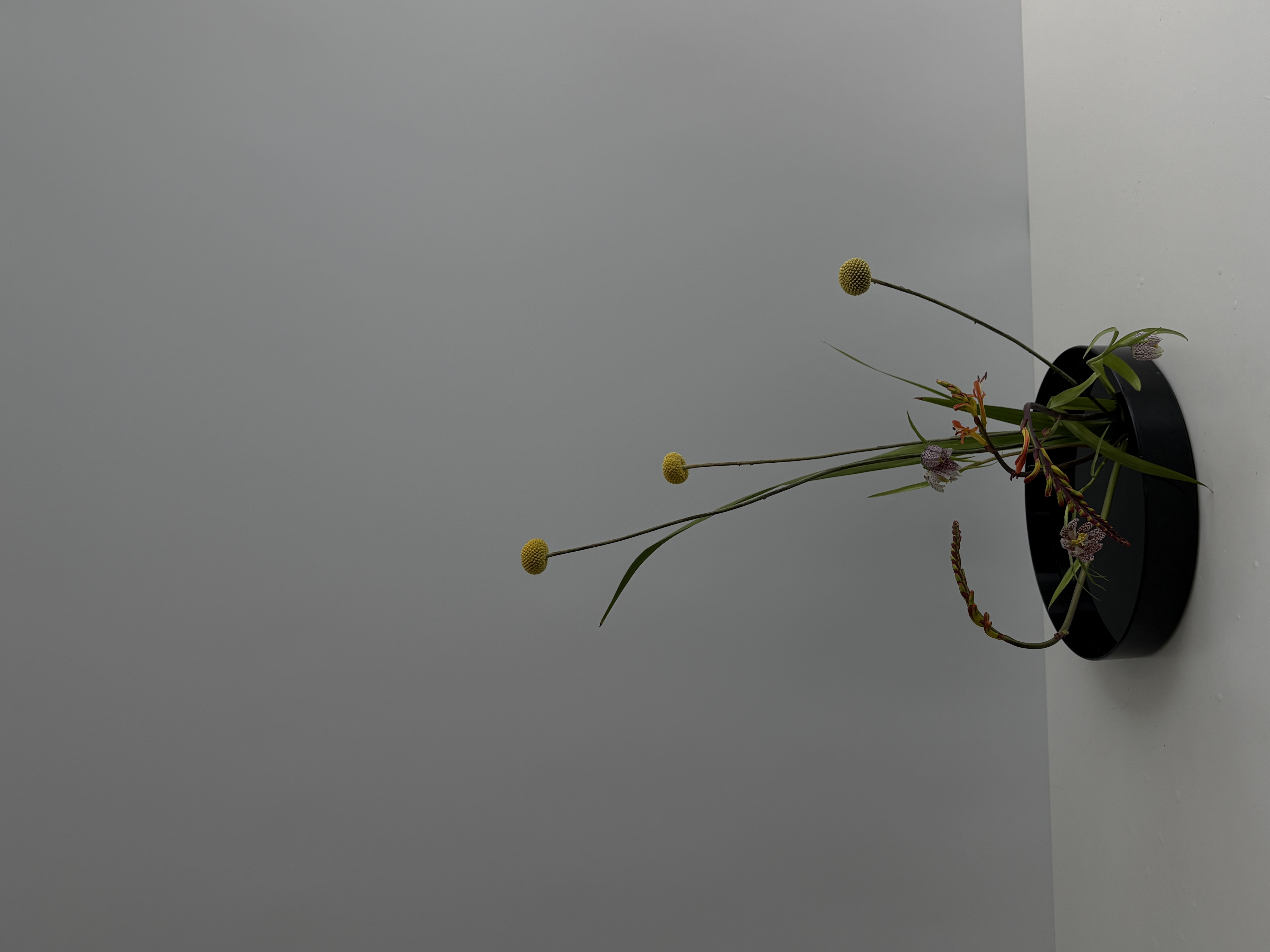 Moribana arrangement