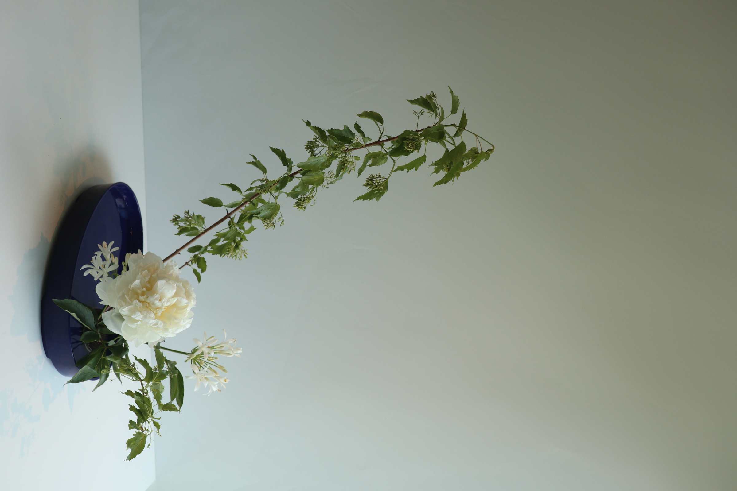 Floral arrangement
